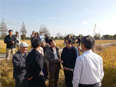 發揮學科優勢，助力崇明建設——化分學院分析-物化聯合黨支部“主題黨日”活動聚焦海水養殖技術研發