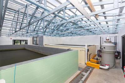 內陸循環海水養蝦新突破 手掌大規格蝦亮相，口感營養比肩北極甜蝦