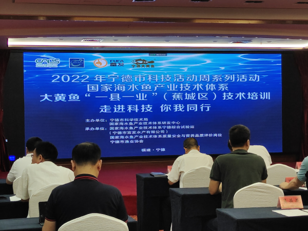 寧德聚力大黃魚“一縣一業” 技術培訓與研發雙輪驅動，引領海水養殖新篇章